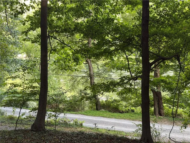 a view of a yard with plants