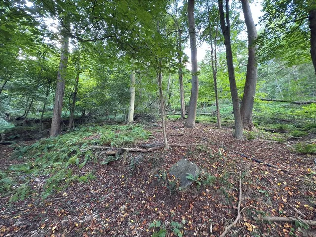 a view of outdoor space and green space