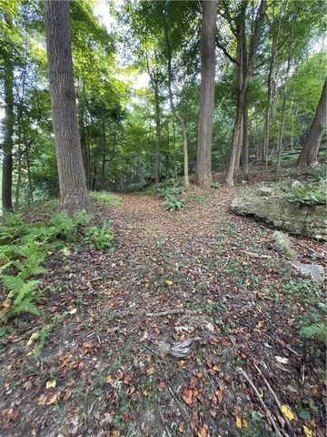 a view of a forest with trees