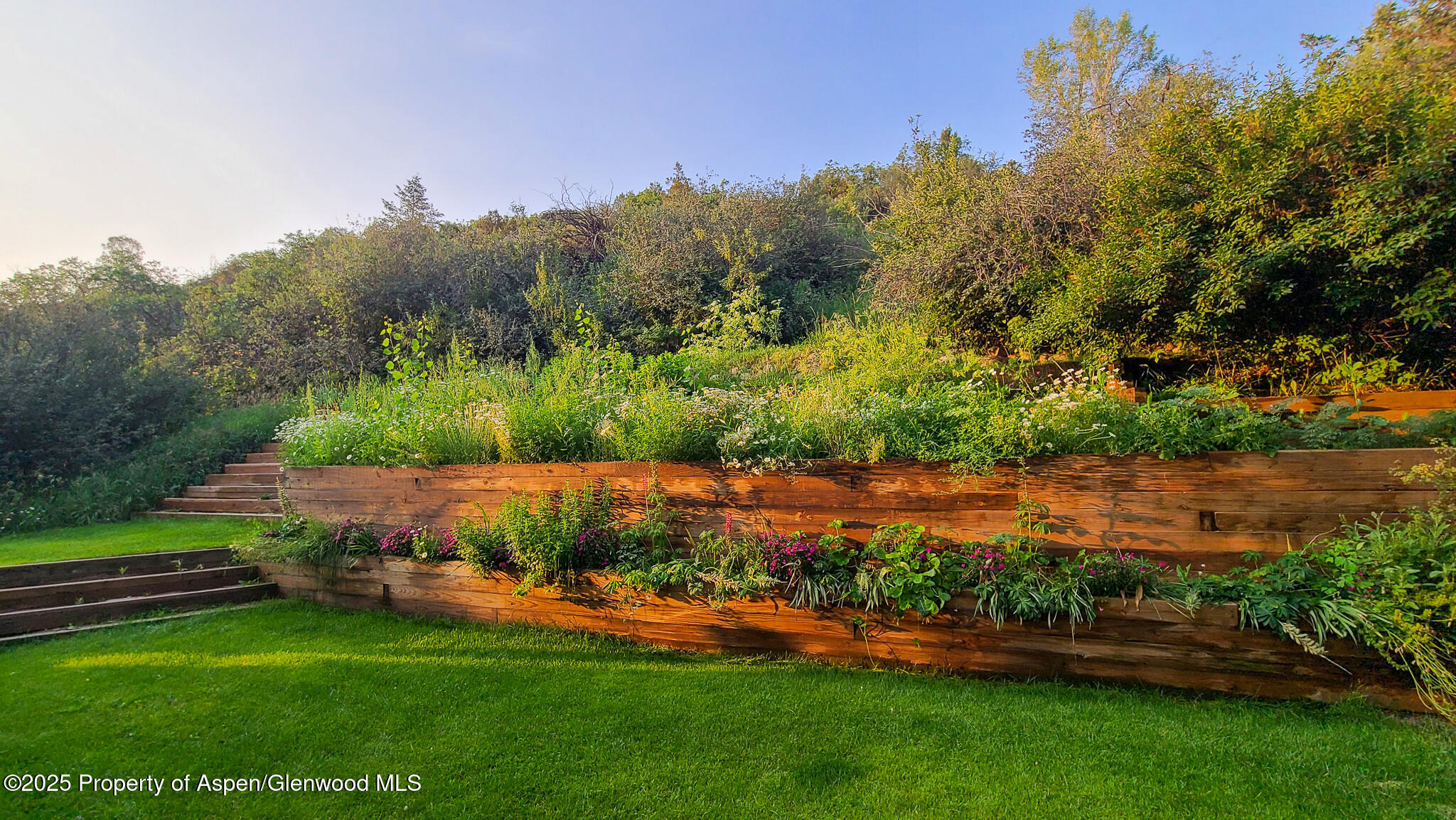 137 Ridge Trail Aspen, CO 81611 - Photo 1 of 29 20210728_064943