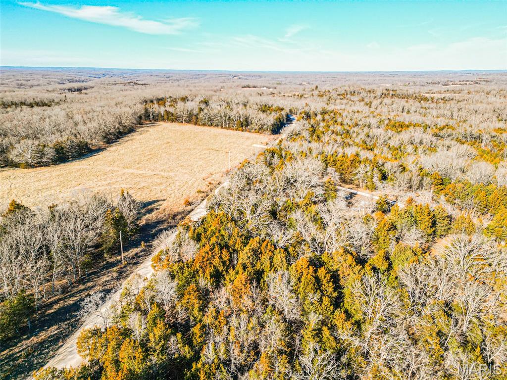 8250 County Road 8250 Rolla, MO 65401 - Photo 5 of 7