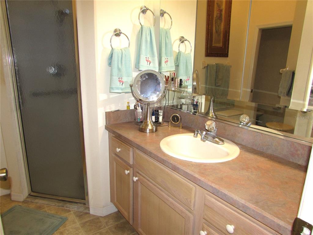 19367 Southwest 101st Place Road Dunnellon, FL 34432 - Photo 16 of 38 a bathroom with a sink and a mirror