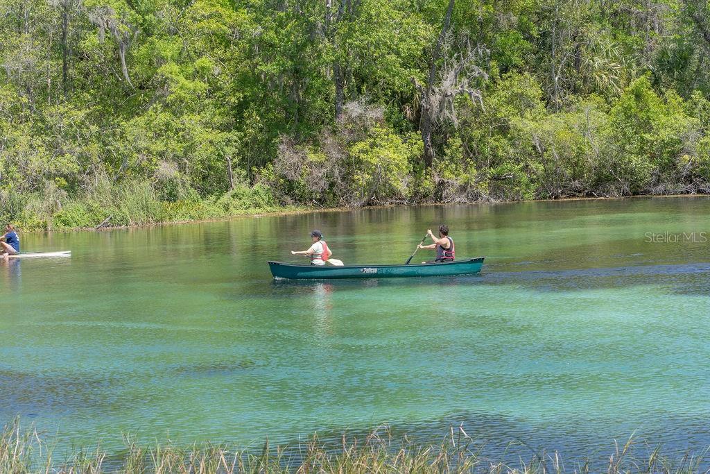 19367 Southwest 101st Place Road Dunnellon, FL 34432 - Photo 33 of 38 a view of a lake