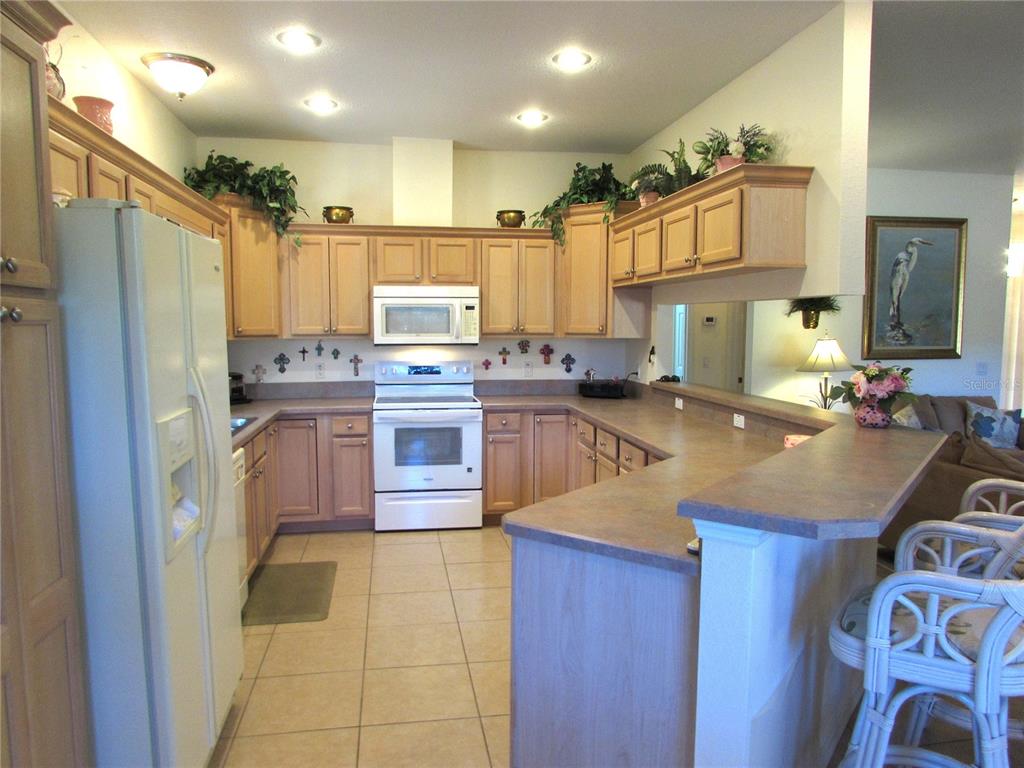19367 Southwest 101st Place Road Dunnellon, FL 34432 - Photo 7 of 38 a kitchen with kitchen island granite countertop a sink appliances cabinets and furniture
