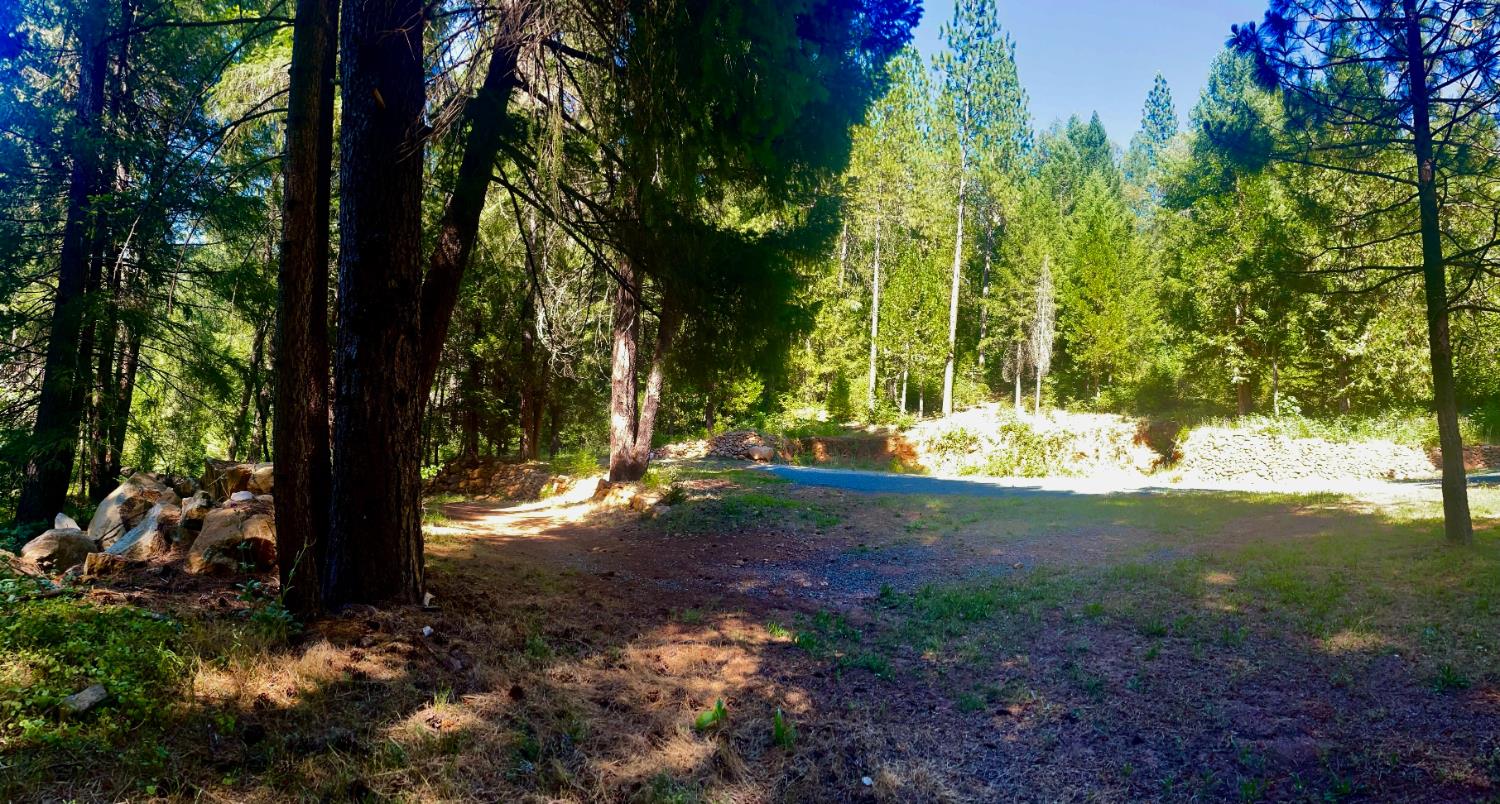 12846 Alpha Loop Washington, CA 95986 - Photo 4 of 8