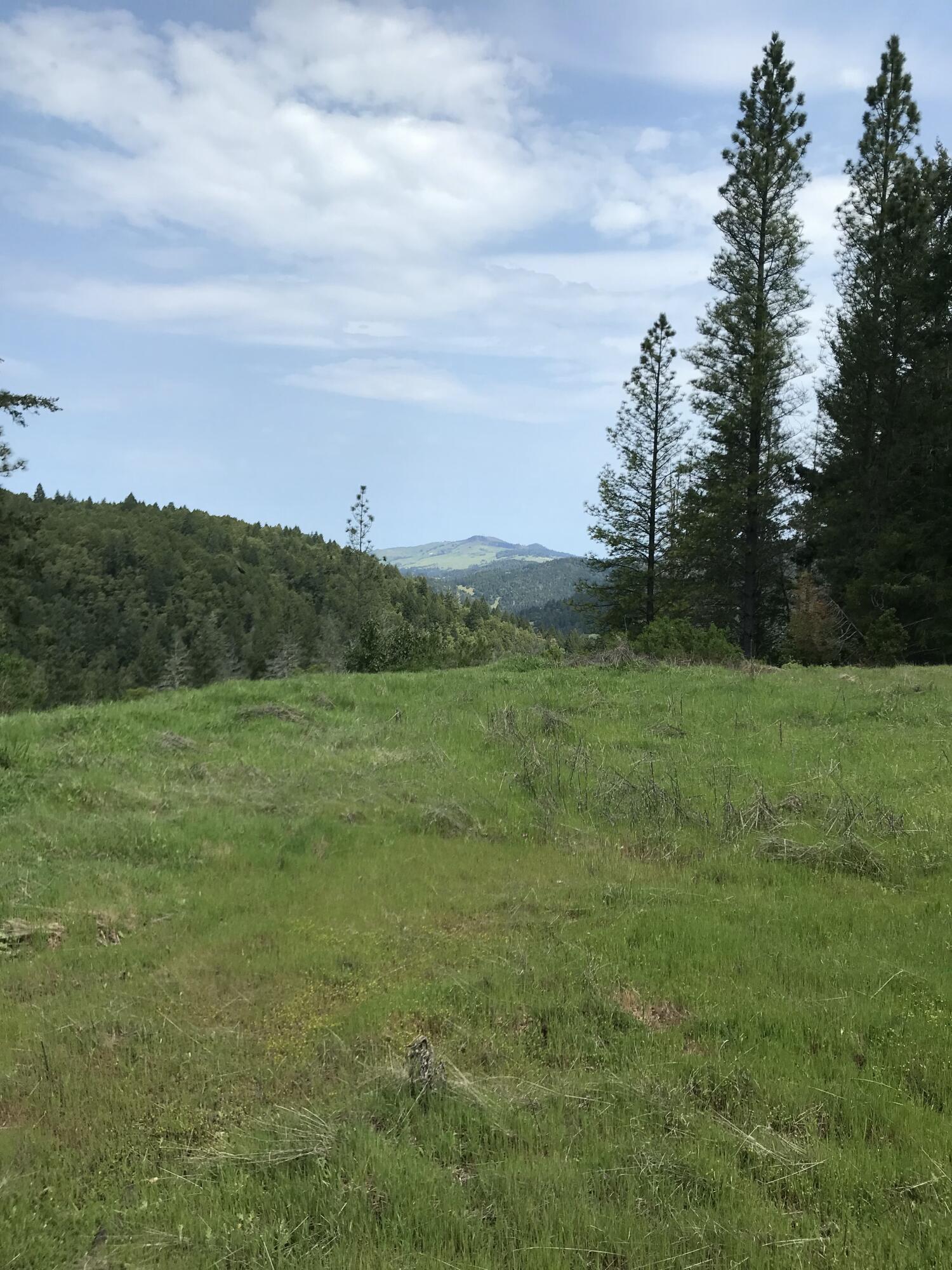 40-acres 40-acres Dugins Mill Road Point Arena, CA 95468 - Photo 2 of 24