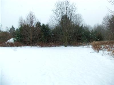 557 Wilson Road Spring Lake, MI 49456 - Photo 18 of 18 Additional Photo