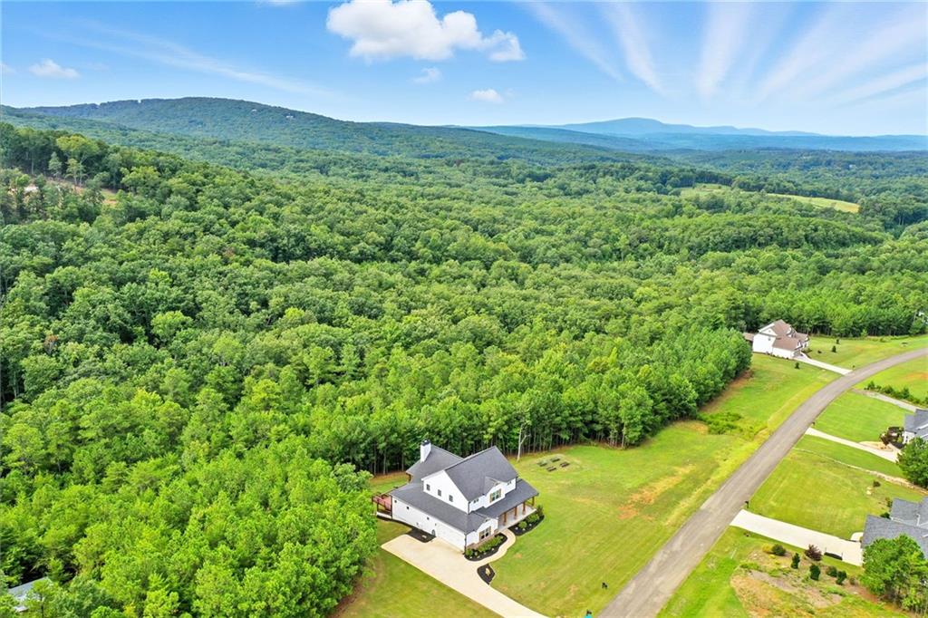 548 Stoneledge Road Jasper, GA 30143 - Photo 2 of 46 a view of a city with lush green forest