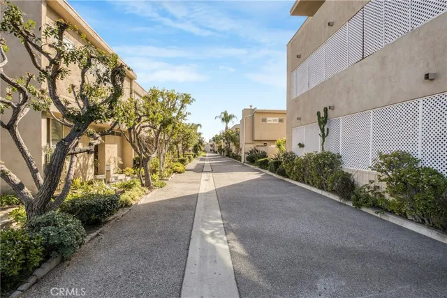 a view of bushes and pathway