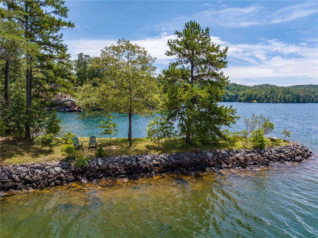 121 Mountain Mint Way Sunset, SC 29685 - Photo 10 of 24