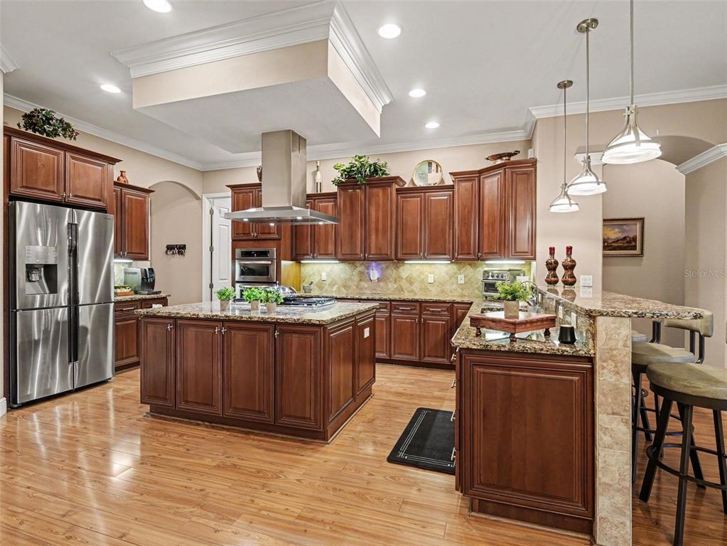 339 Corbett Road Lithia, FL 33547 - Photo 11 of 38 a kitchen with granite countertop a stove refrigerator and cabinets