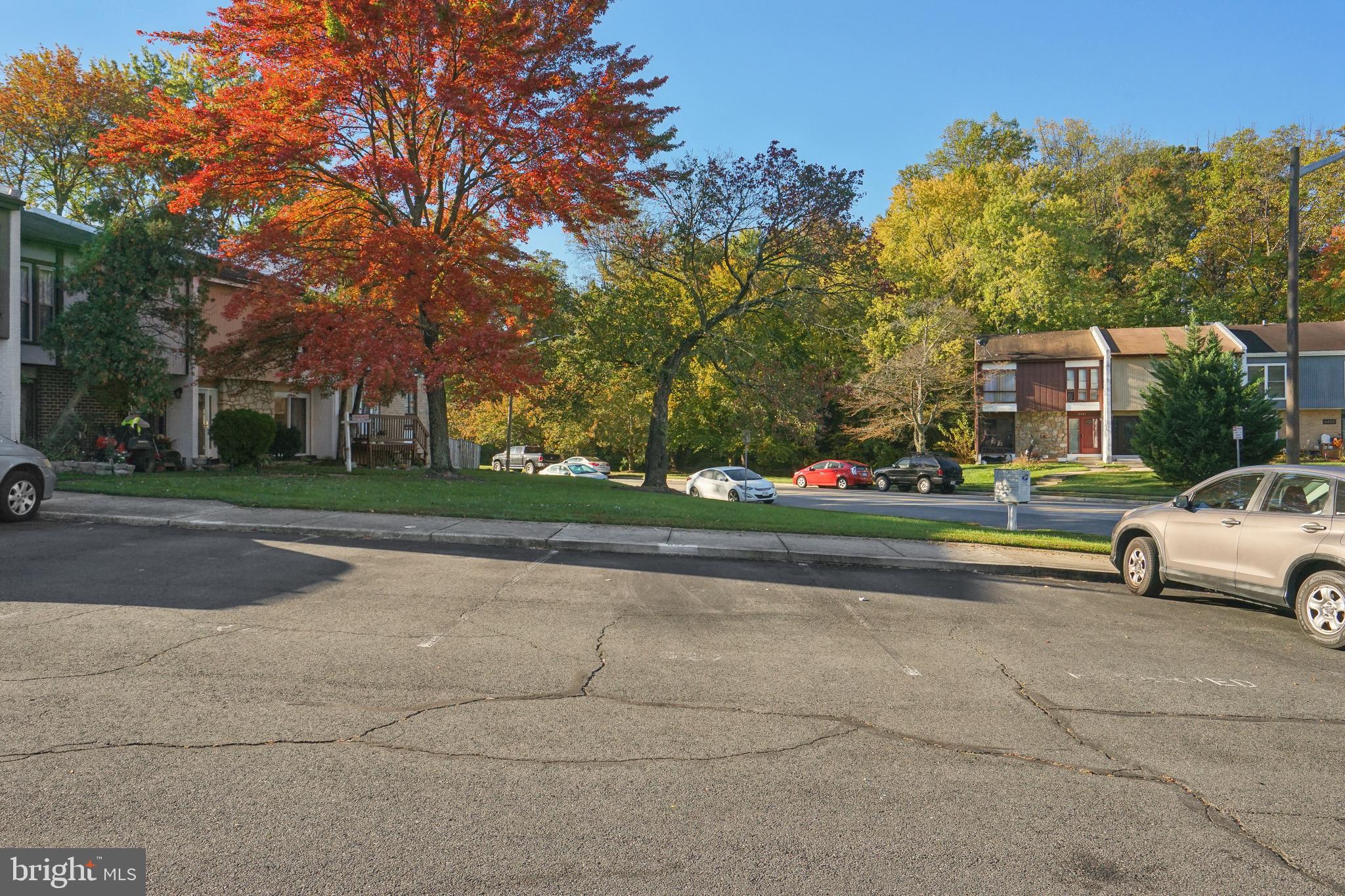 6349 Rockshire Street Alexandria, VA 22315 - Photo 37 of 37