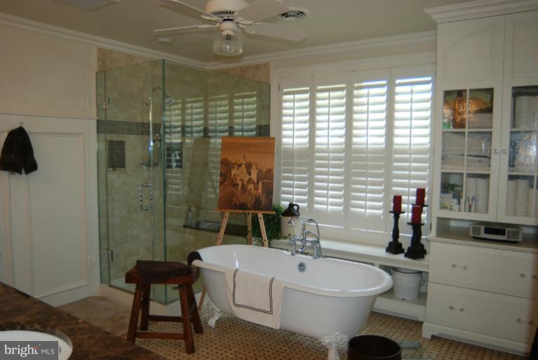 11090 Mt Victoria Road Newburg, MD 20664 - Photo 21 of 29 Bath (Master)