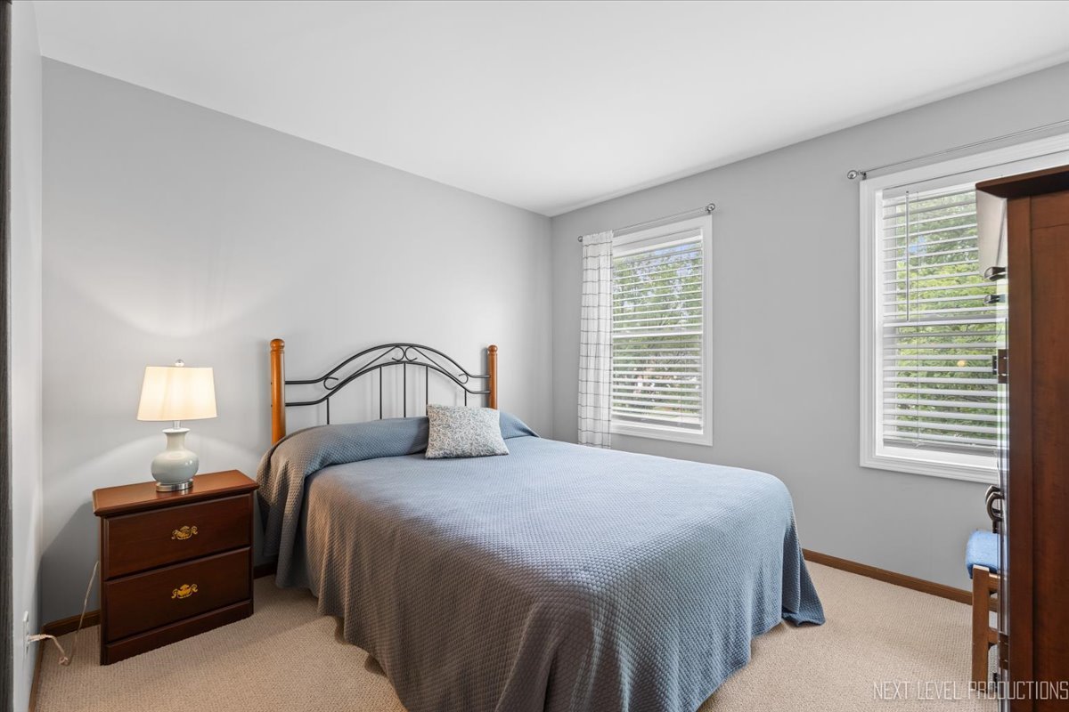 133 Autumn Ridge Drive Montgomery, IL 60538 - Photo 23 of 39 Gallery Image 23