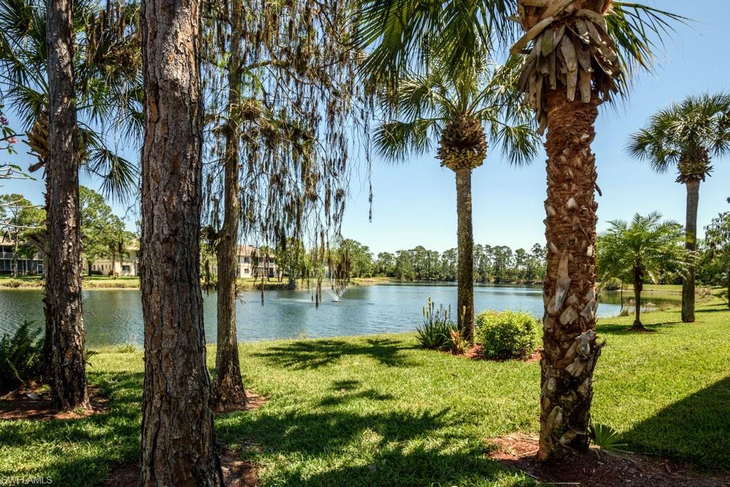 448 Gabriel Circle, Unit 3302 Naples, FL 34104 - Photo 24 of 32 a view of a lake with a palm tree
