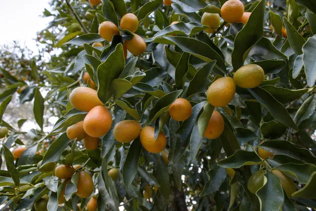 $380,000 | 298 West 12th Drive, Greenville, FL 32331