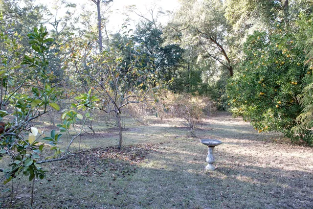 $380,000 | 298 West 12th Drive, Greenville, FL 32331