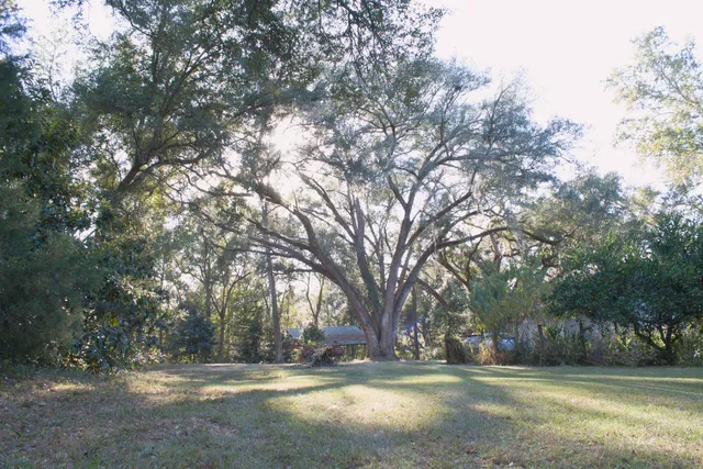 $380,000 | 298 West 12th Drive, Greenville, FL 32331