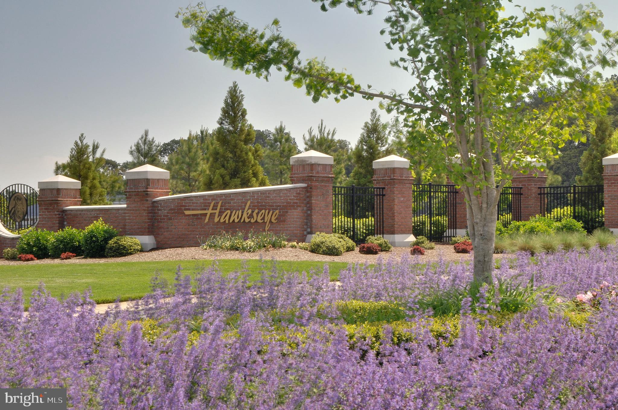 35482 Peregrine Road Lewes, DE 19958 - Photo 11 of 32 Beautiful entrance to Hawkseye