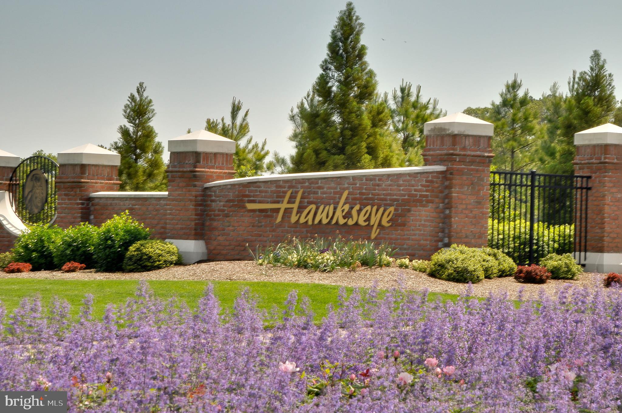 Welcome to Hawkseye