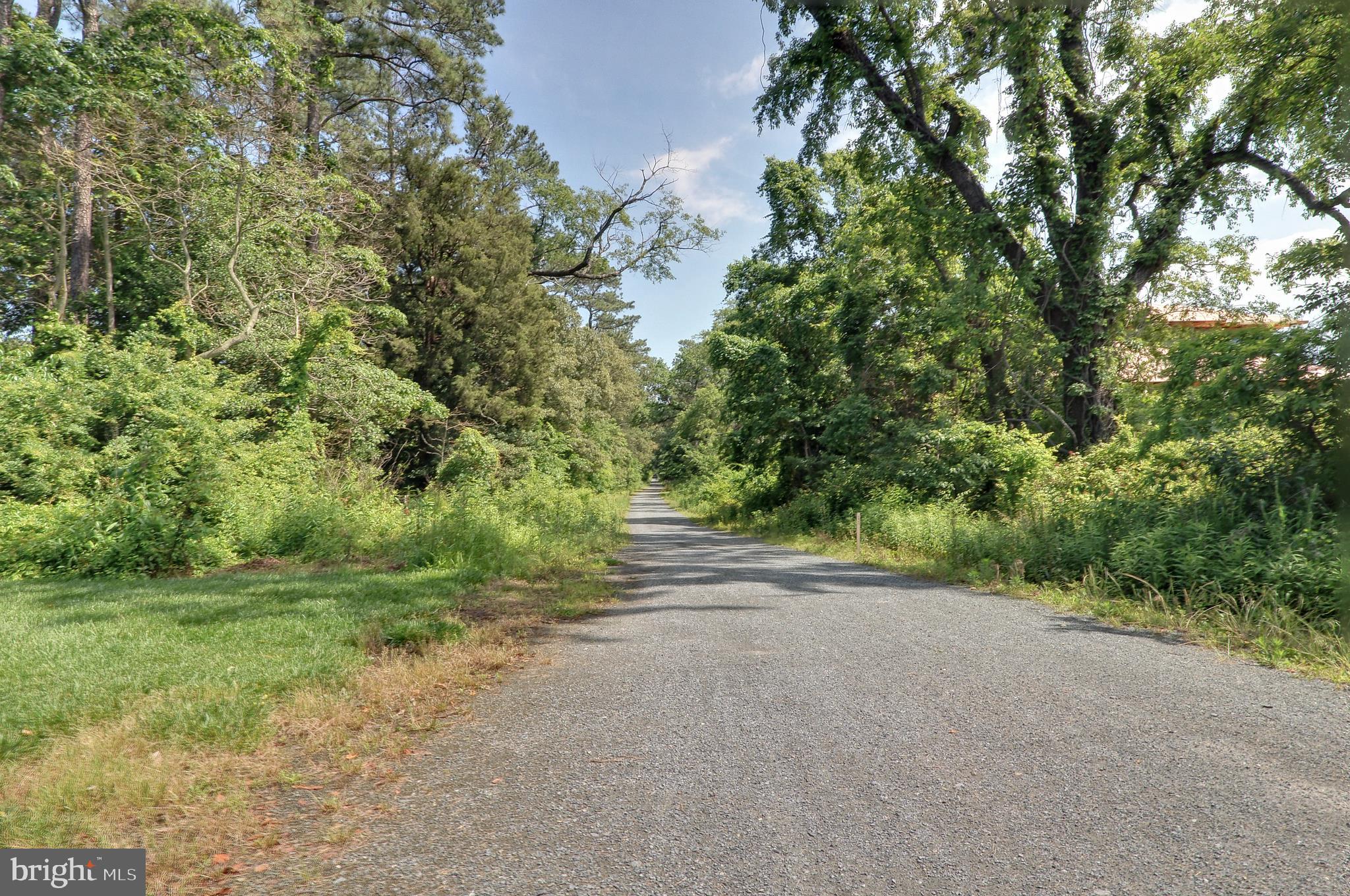 35482 Peregrine Road Lewes, DE 19958 - Photo 9 of 32 Bike Trail to Rehoboth