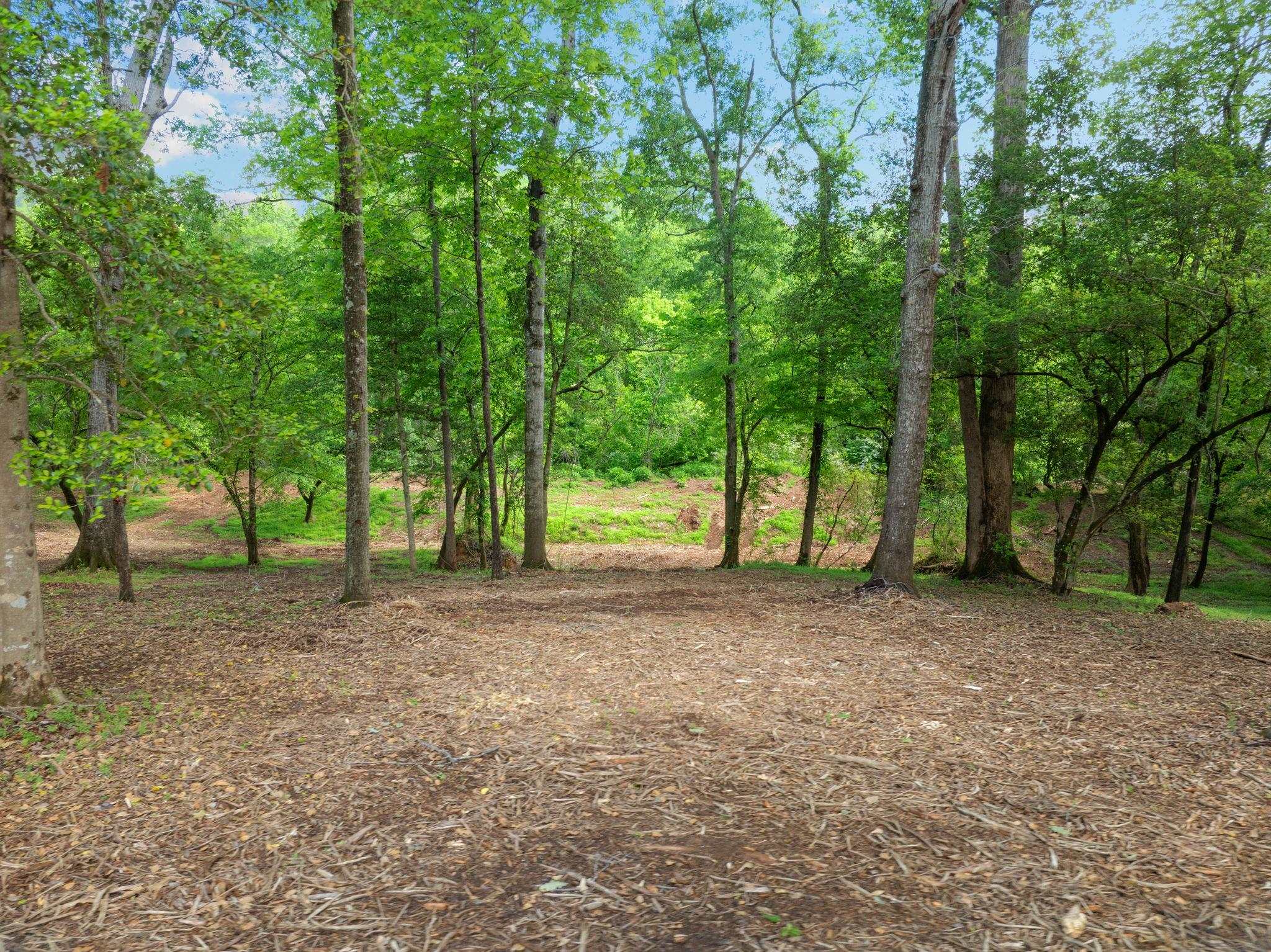 241 Bramlett Road Greer, SC 29651 - Photo 48 of 50