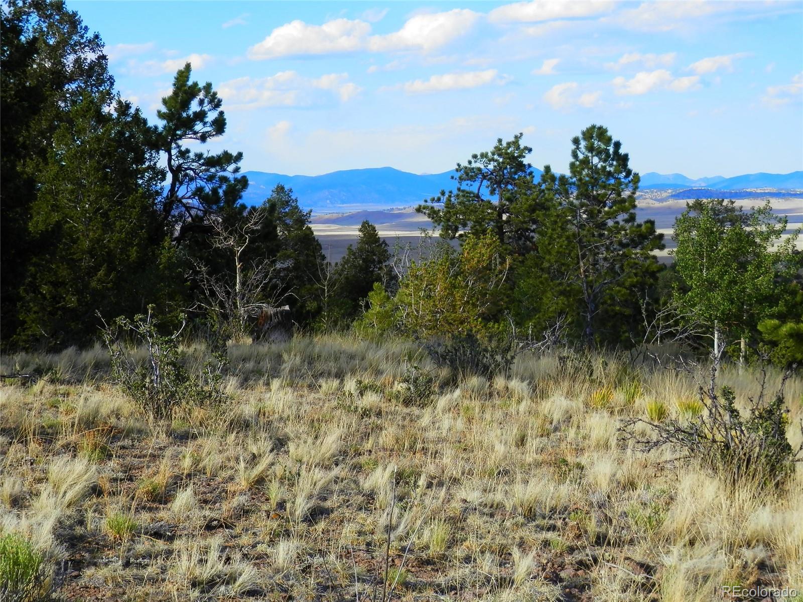 605 Adobe Road Hartsel, CO 80449 - Photo 11 of 21