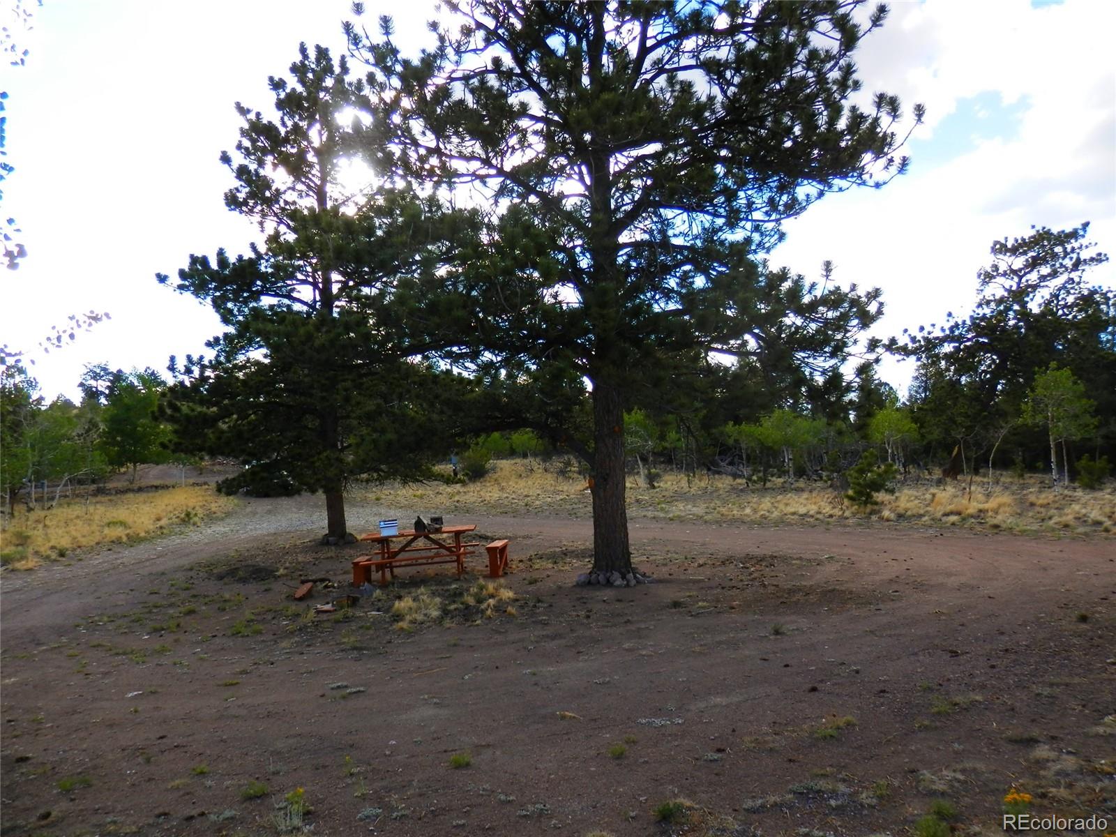 605 Adobe Road Hartsel, CO 80449 - Photo 13 of 21