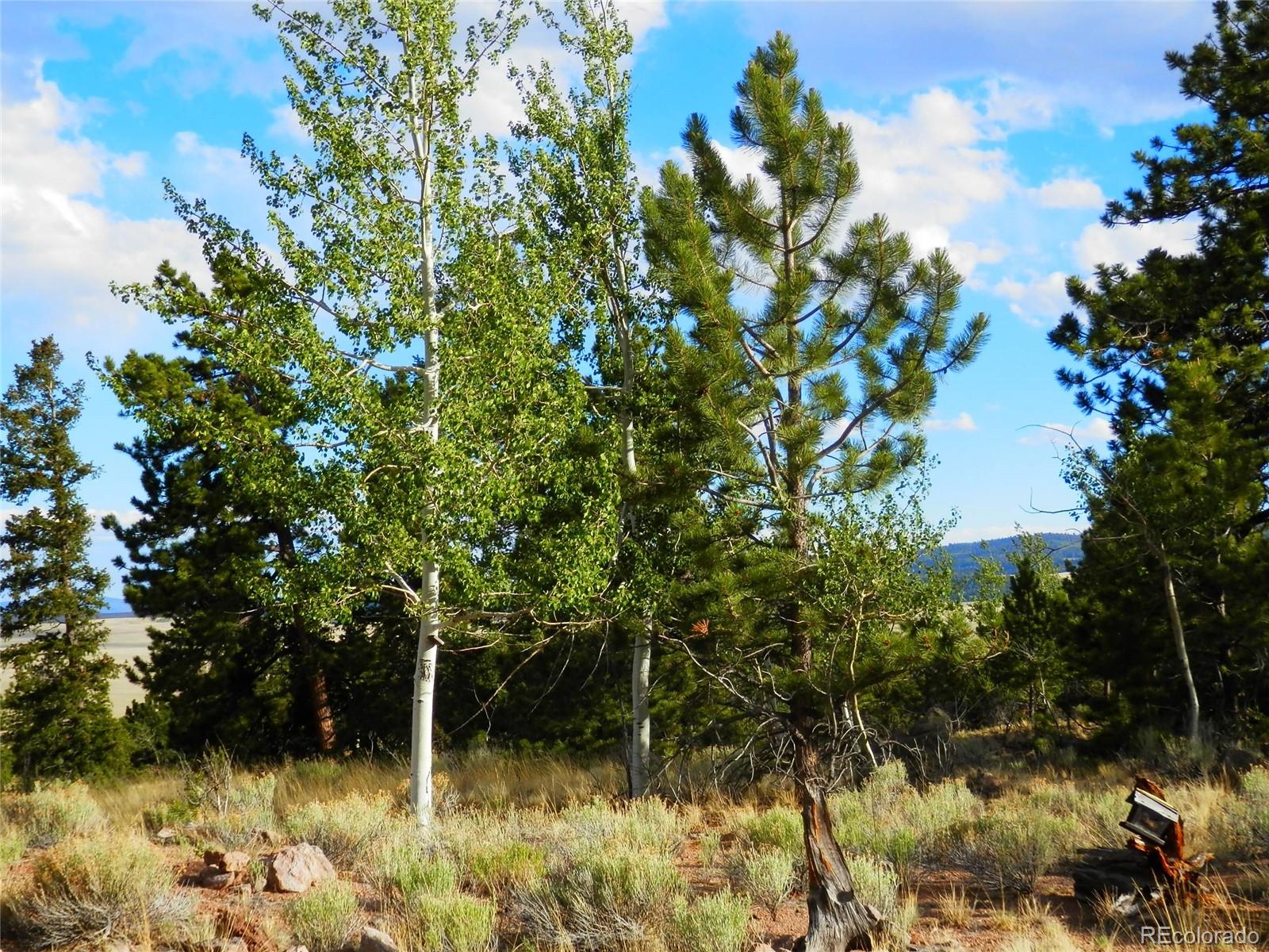 605 Adobe Road Hartsel, CO 80449 - Photo 14 of 21