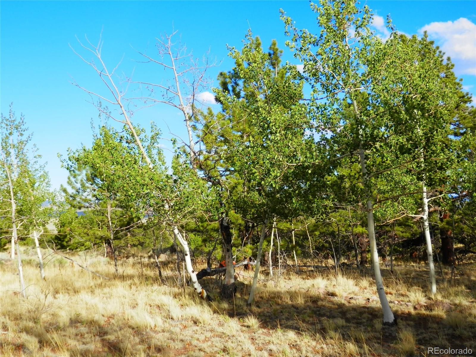 605 Adobe Road Hartsel, CO 80449 - Photo 15 of 21