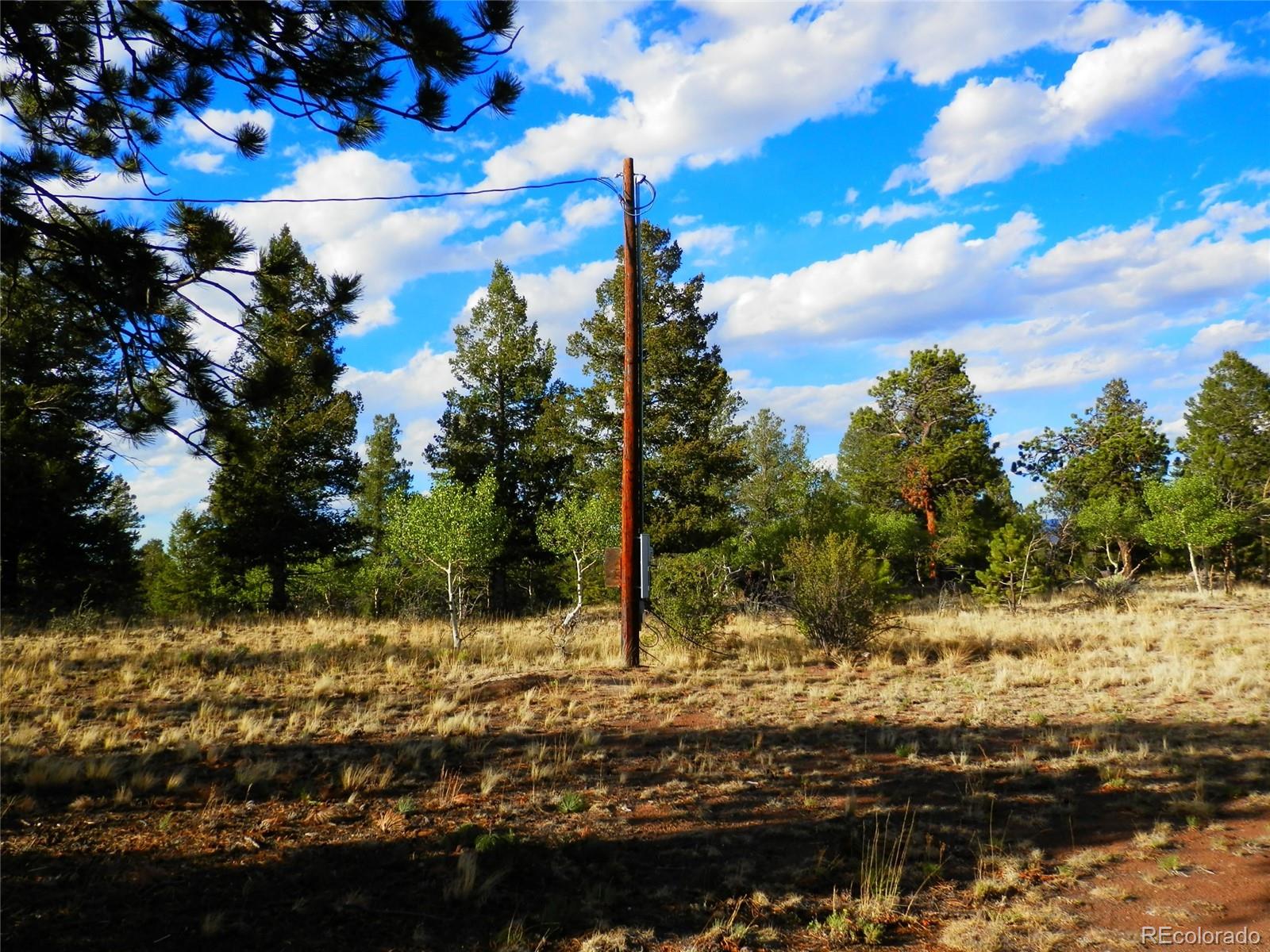 605 Adobe Road Hartsel, CO 80449 - Photo 16 of 21