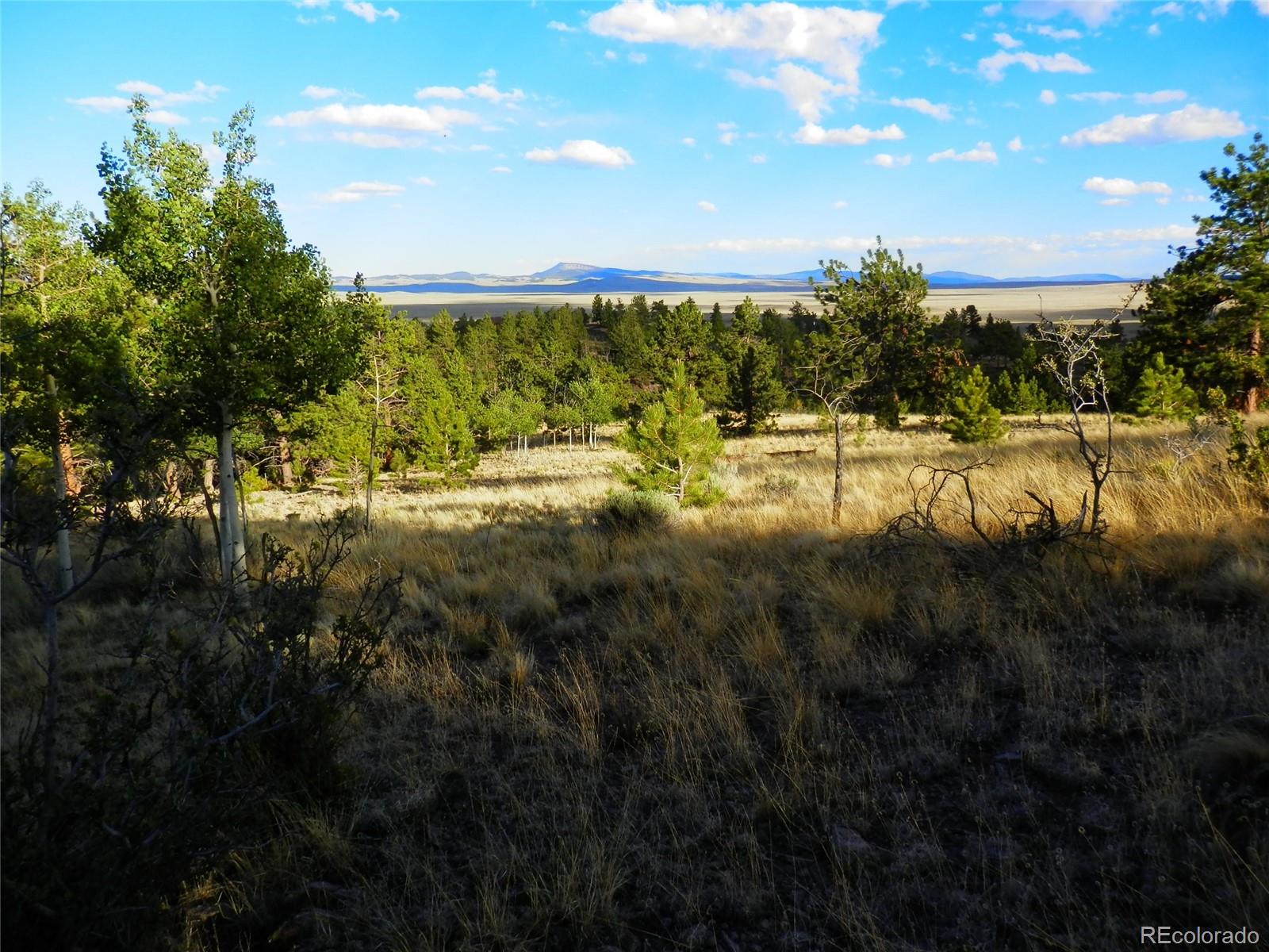 605 Adobe Road Hartsel, CO 80449 - Photo 18 of 21