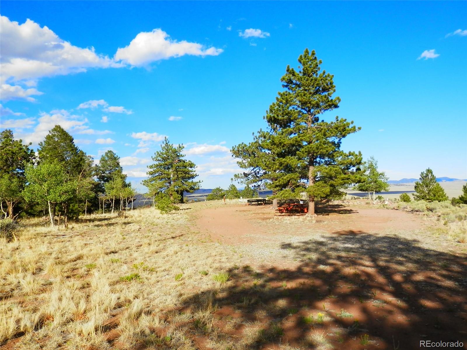 605 Adobe Road Hartsel, CO 80449 - Photo 4 of 21