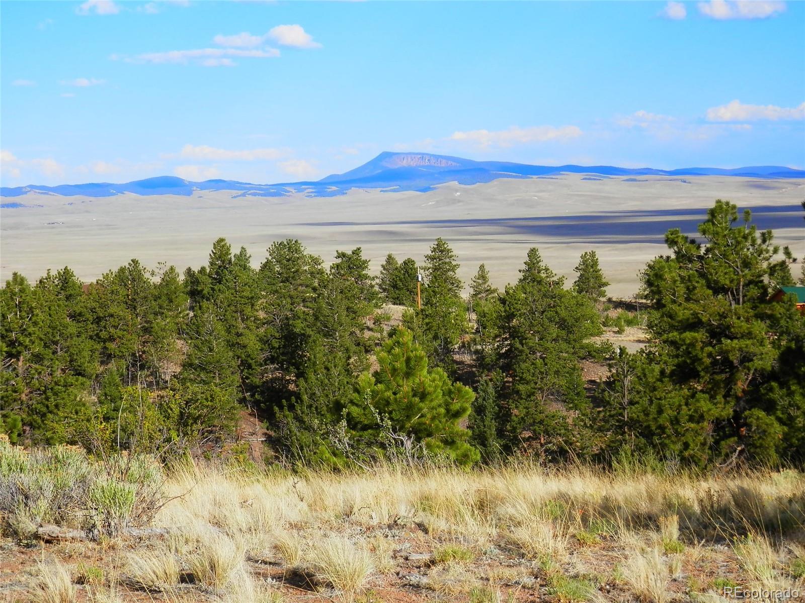 605 Adobe Road Hartsel, CO 80449 - Photo 8 of 21