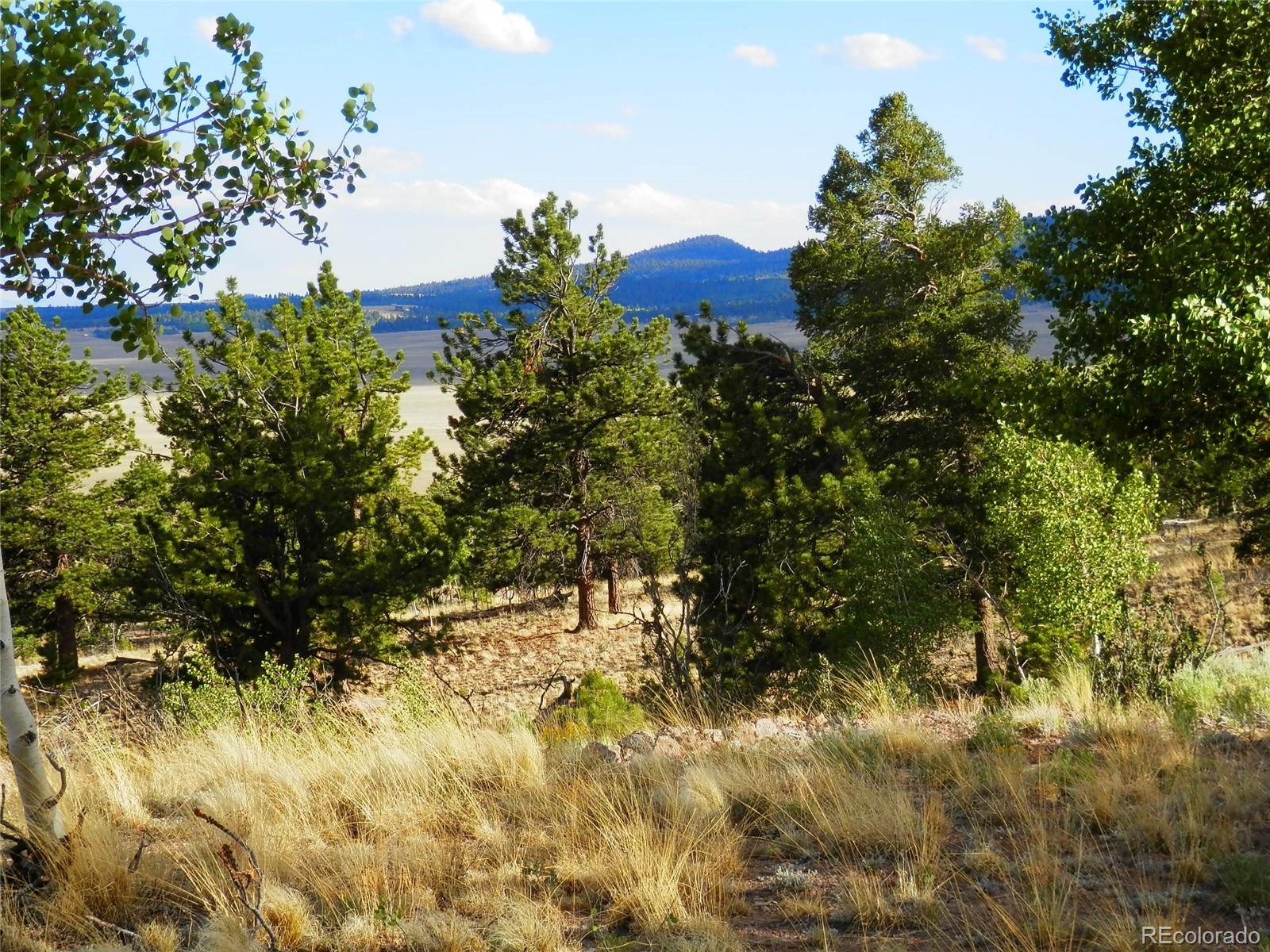 605 Adobe Road Hartsel, CO 80449 - Photo 9 of 21