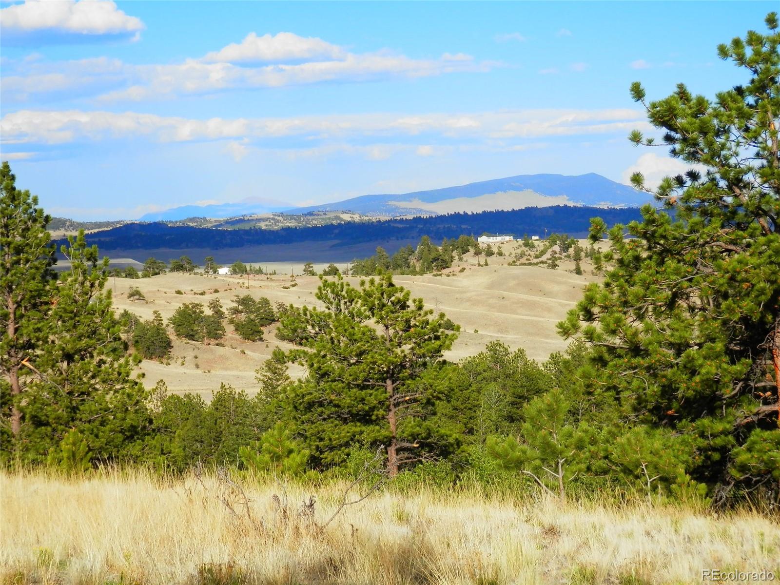 605 Adobe Road Hartsel, CO 80449 - Photo 10 of 21
