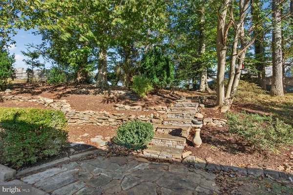 a view of a pathway with a yard