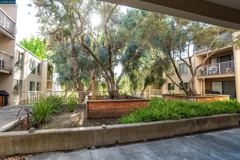 $478,888 | 440 North Civic Drive, Unit 201, Walnut Creek, CA 94596