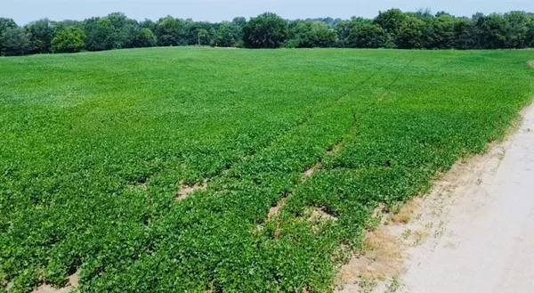 $936,000 | 4159 Northwest State Rte Ff, Adrian, MO 64720