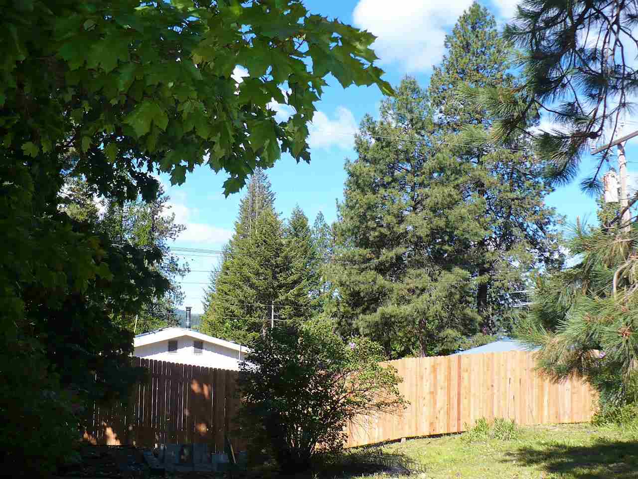 Tbd View Road Loon Lake, WA 99148 - Photo 3 of 7 Gallery Image 3