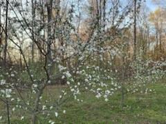 5395 Oak Road Poland, IN 47868 - Photo 50 of 54