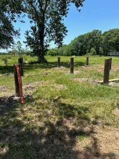 7207 County Road 194 Rosharon, TX 77583 - Photo 6 of 12