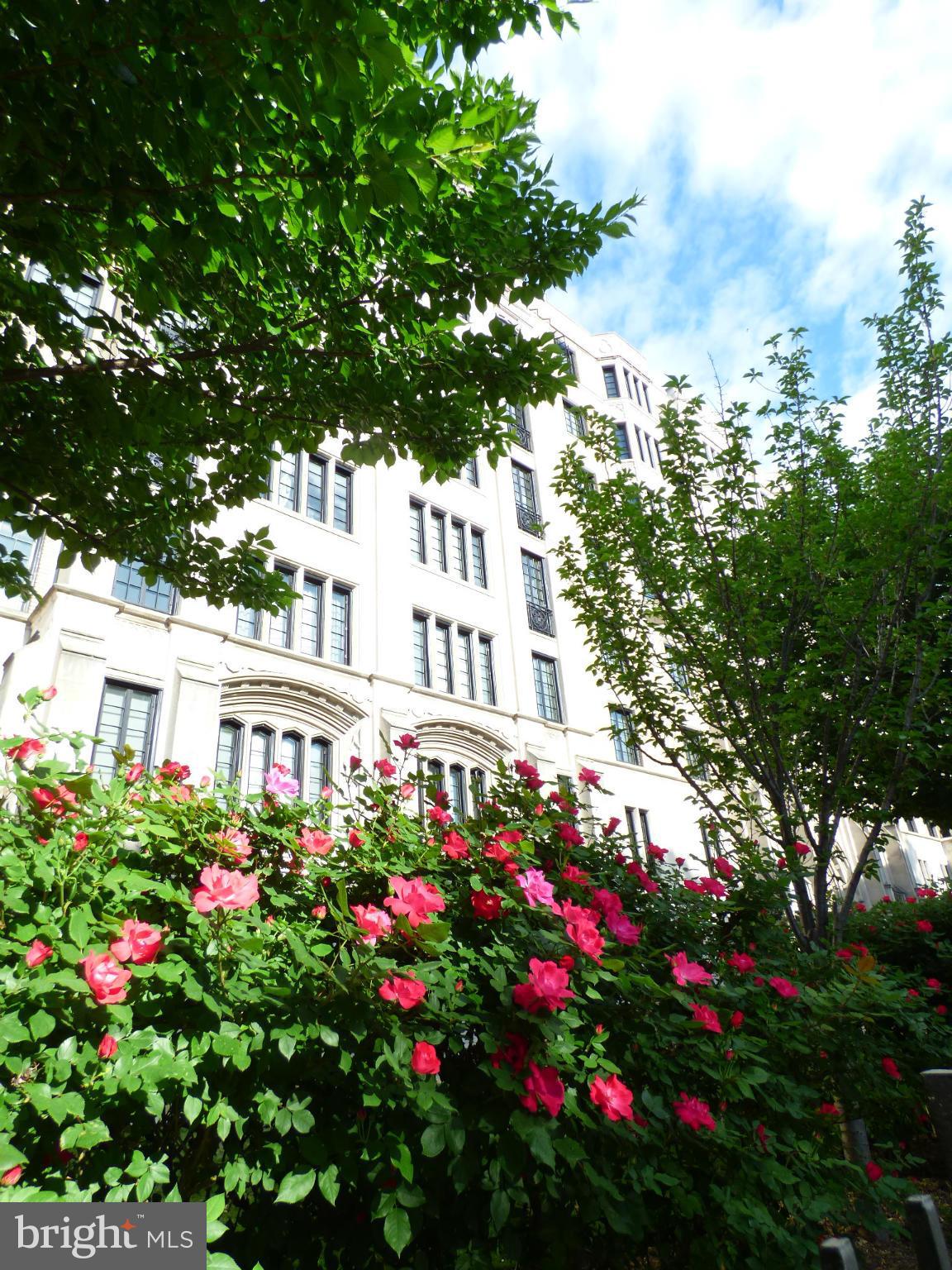 1701 16th Street Northwest, Unit 410 Washington, DC 20009 - Photo 1 of 11 Exterior (Front)