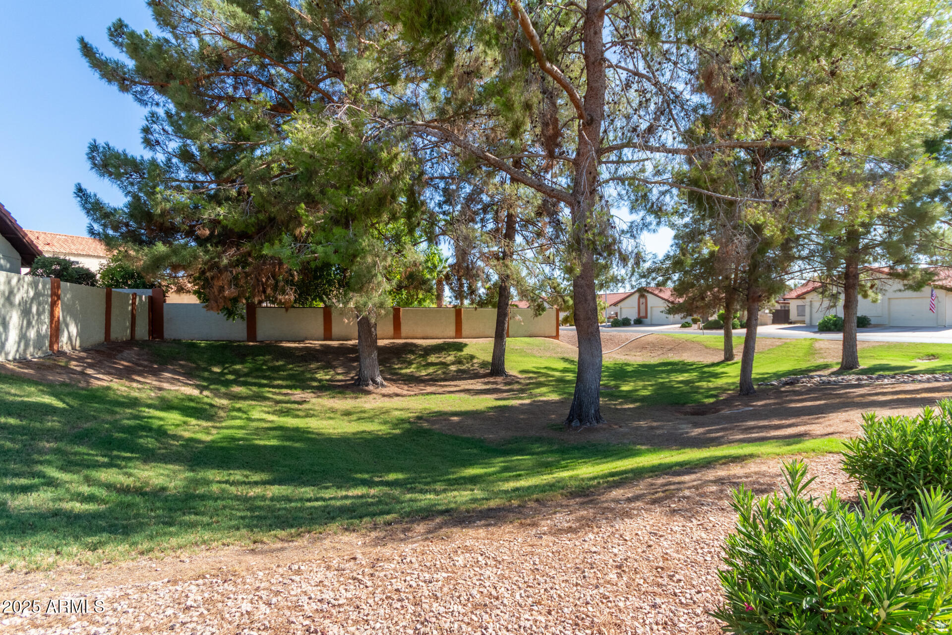 542 South Higley Road, Unit 3 Mesa, AZ 85206 - Photo 23 of 33 a view of a garden with trees