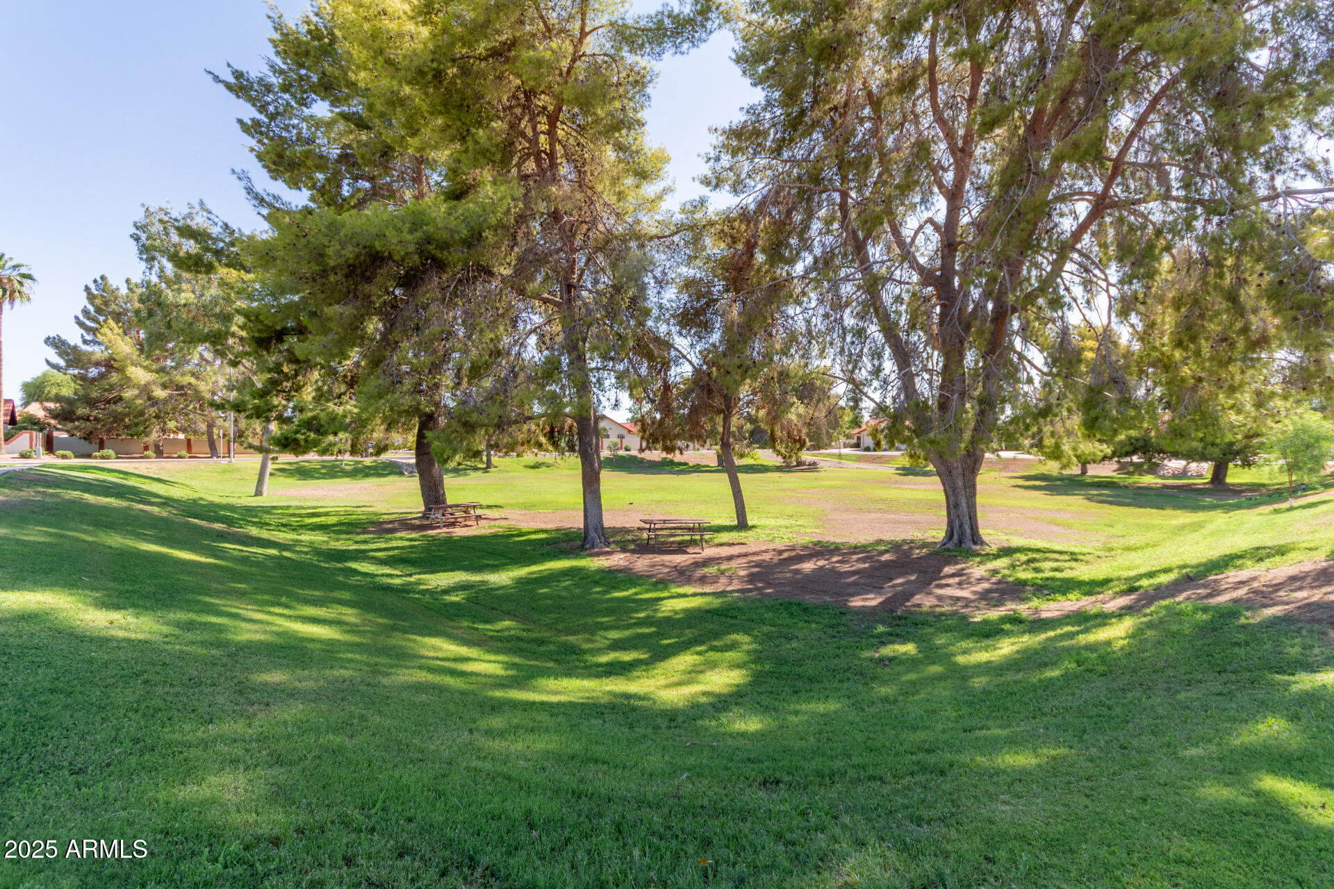 542 South Higley Road, Unit 3 Mesa, AZ 85206 - Photo 26 of 33 a view of yard with trees