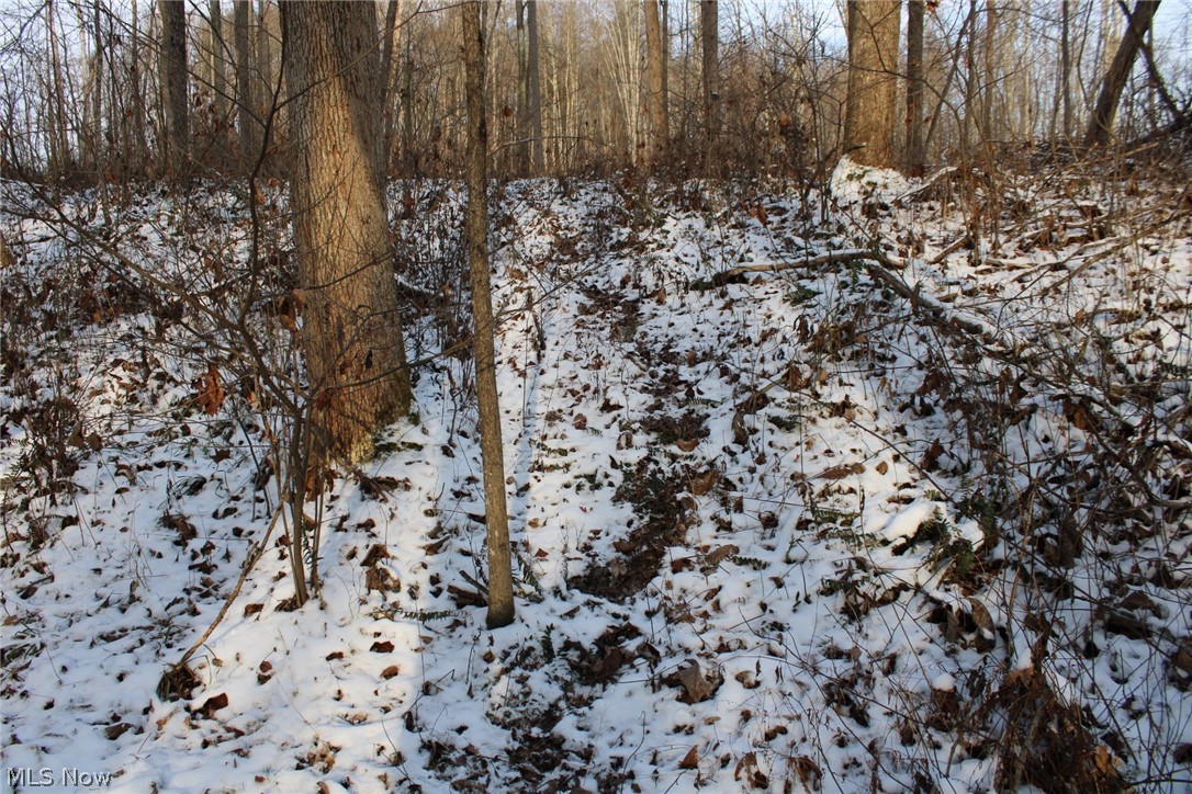 Amsterdam Road Scio, OH 43988 - Photo 13 of 29 Gallery Image 13