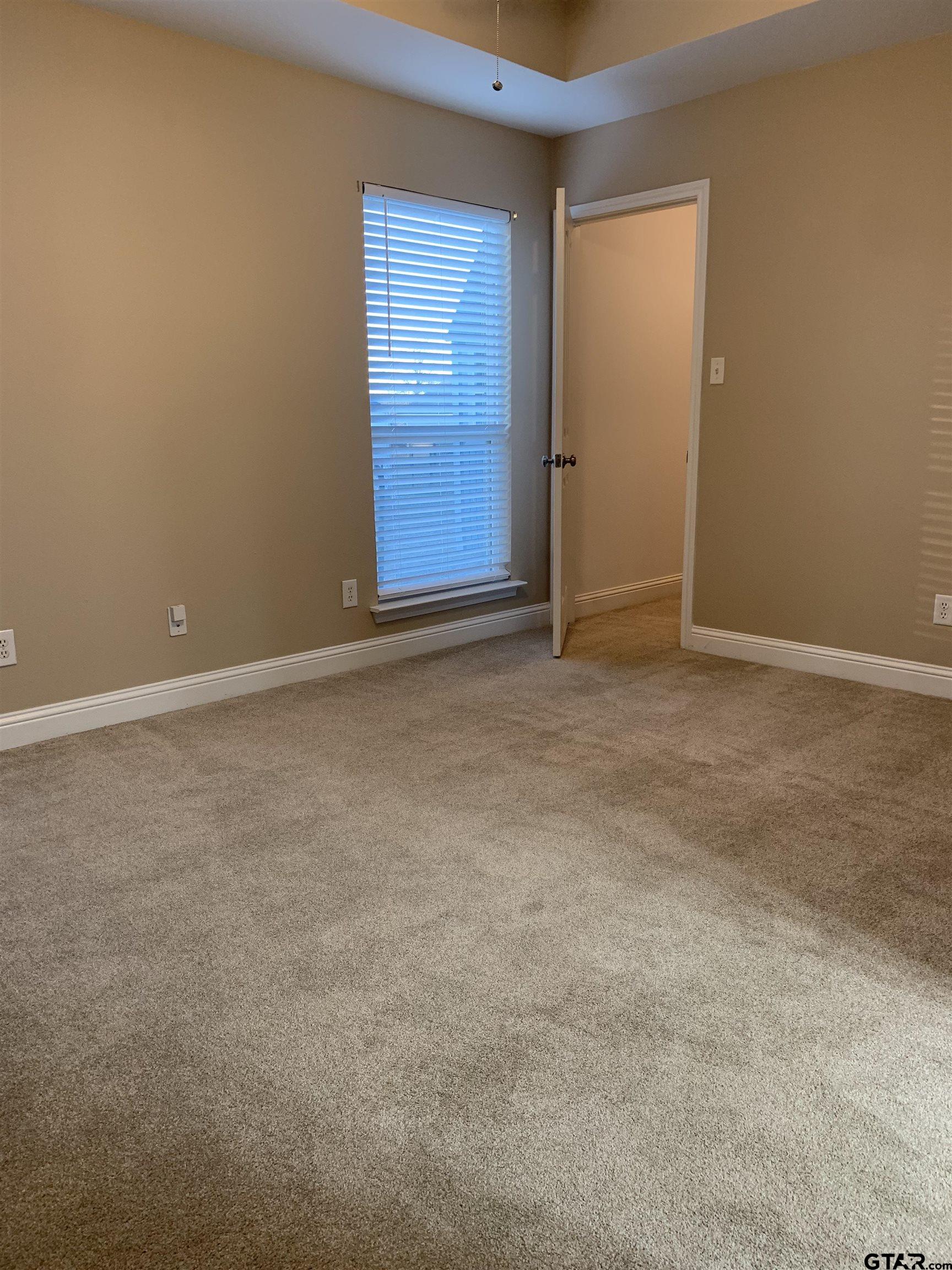 411 Cimarron Trail Holly Lake Ranch, TX 75765 - Photo 16 of 21