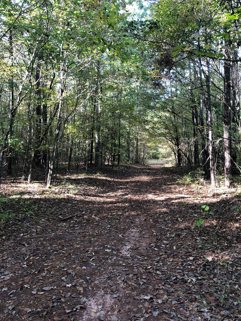 0 Rabun Sparta, GA 31087 - Photo 8 of 11 Trails and roads