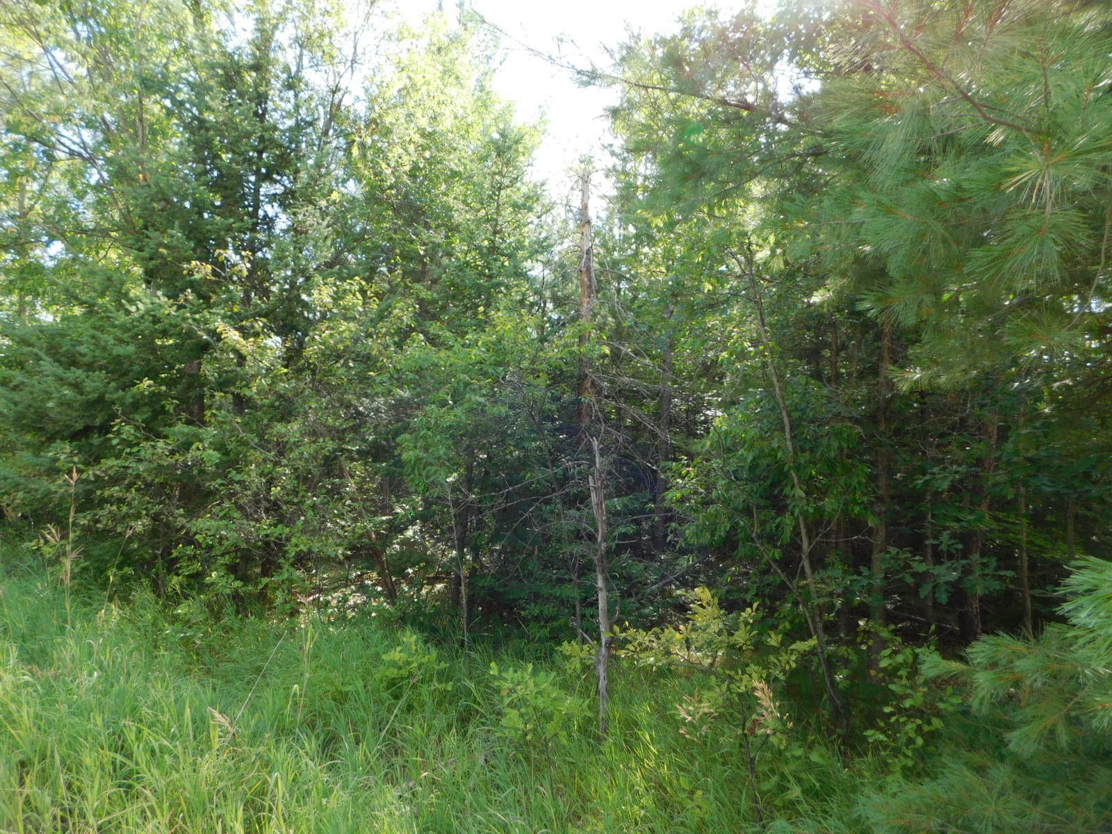 Steckert Bridge Road Roscommon, MI 48653 - Photo 1 of 9 Gallery Image 1
