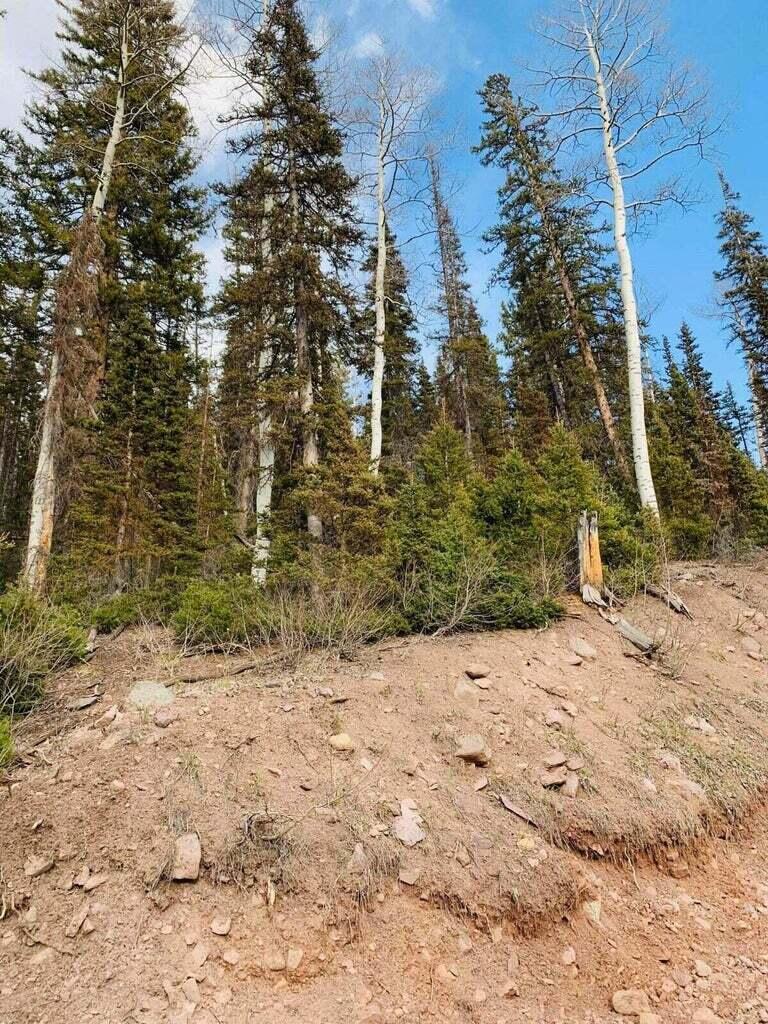 West Village, Unit 28 Beaver, UT 84713 - Photo 24 of 28 20230317122816223579000000-o